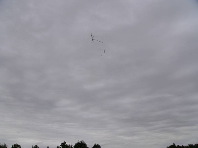P1060055.JPG
