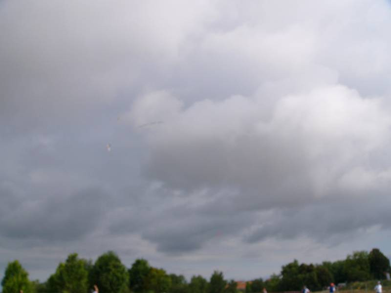 P1060346.JPG