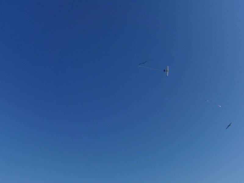 2009-05-02_08-47-52_2.JPG