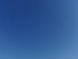 2009-05-02_08-47-43_1