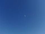 2009-05-02_08-47-44