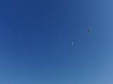 2009-05-02_08-47-46_2
