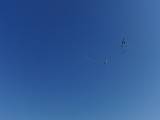 2009-05-02_08-47-46_4