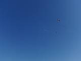 2009-05-02_08-47-47_2
