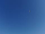 2009-05-02_08-47-48_1