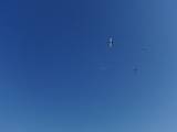 2009-05-02_08-47-48_3