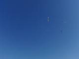 2009-05-02_08-47-49