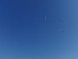2009-05-02_08-47-49_2