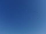 2009-05-02_08-47-49_3