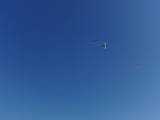 2009-05-02_08-47-52