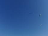 2009-05-02_08-47-54_2