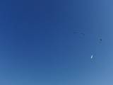 2009-05-02_08-47-55_2