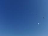 2009-05-02_08-47-55_3