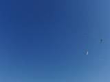 2009-05-02_08-47-55_4